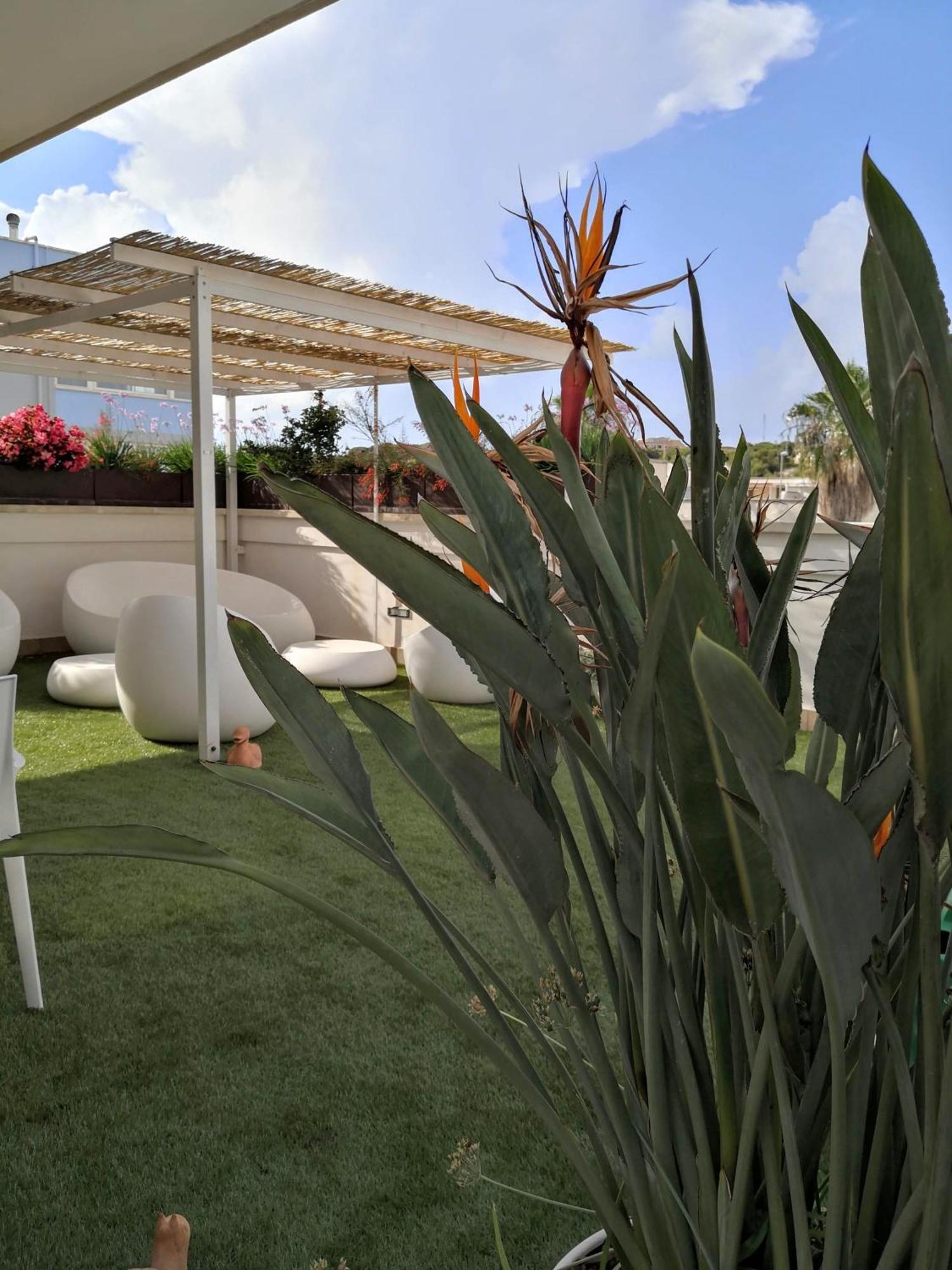 La Casa Del Turista Bed & Breakfast Gallipoli Exterior photo